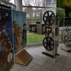Actualité Cinéma